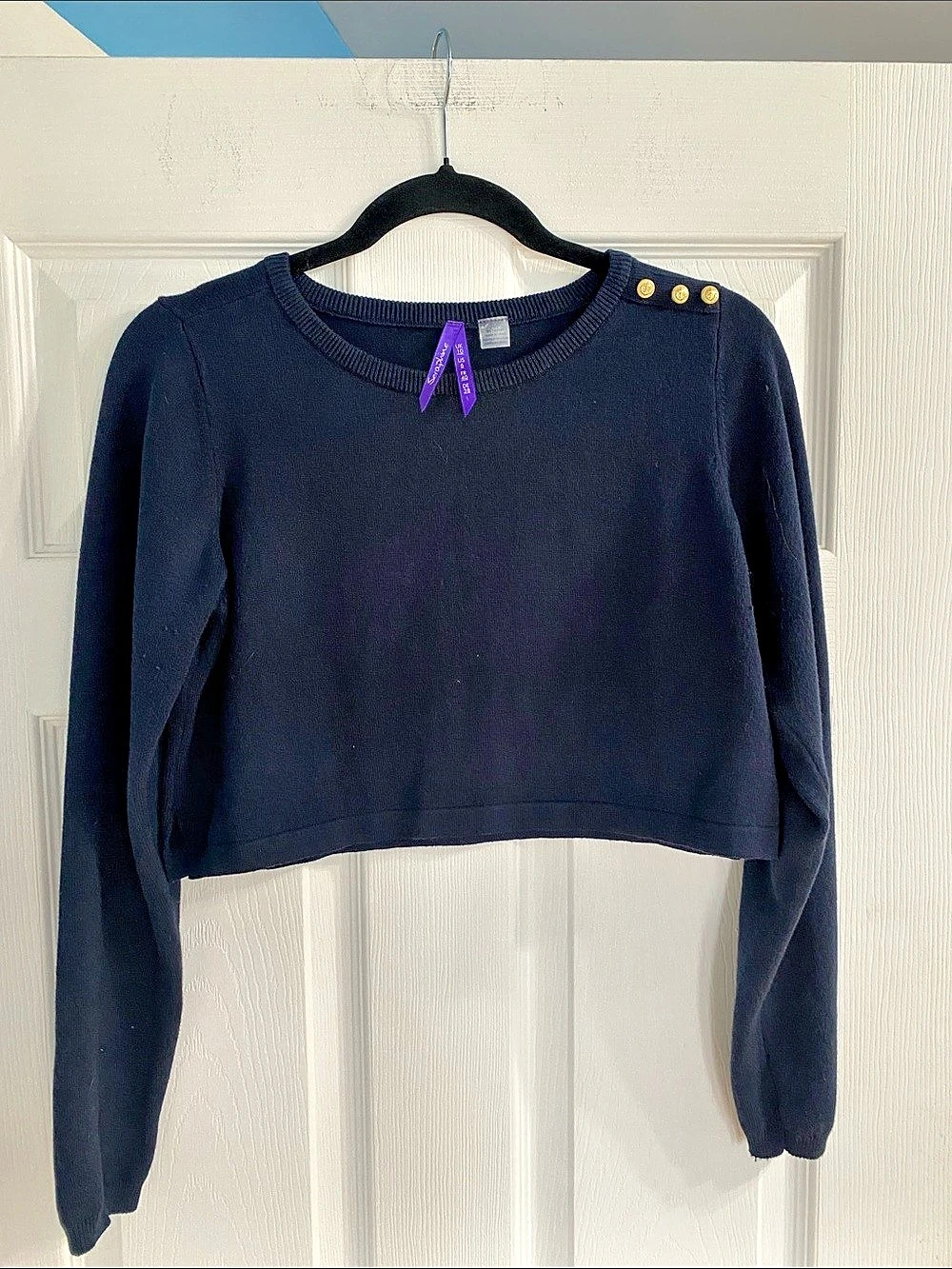 Seraphine Cropped Crew Neck Sweater in Blue Size 6 Like New